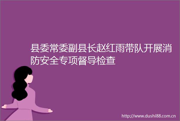 县委常委副县长赵红雨带队开展消防安全专项督导检查