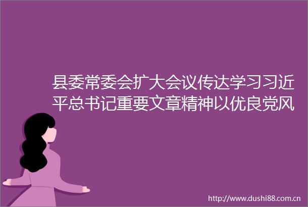 县委常委会扩大会议传达学习总书记重要文章精神以优良党风带动社风民风向上向善