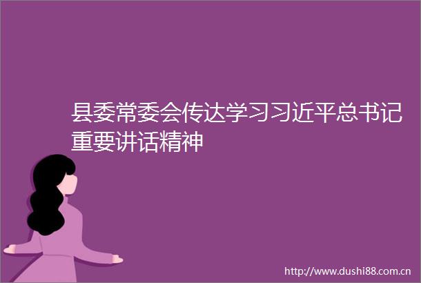 县委常委会传达学习总书记重要讲话精神