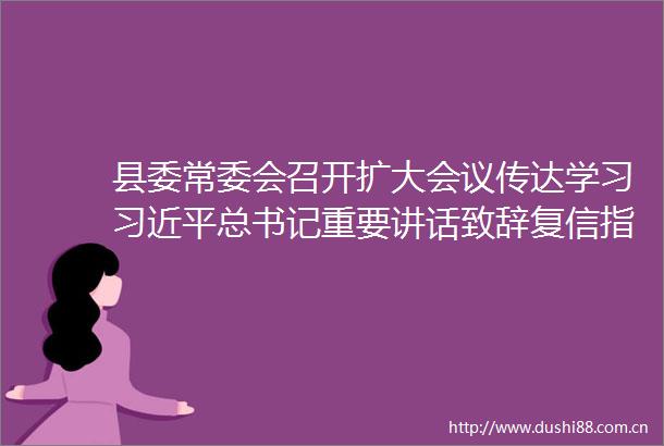 县委常委会召开扩大会议传达学习总书记重要讲话致辞复信指示精神
