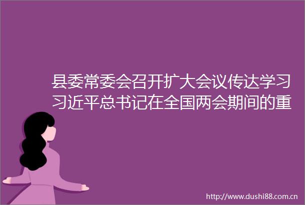 县委常委会召开扩大会议传达学习总书记在全国两会期间的重要讲话和全国两会精神
