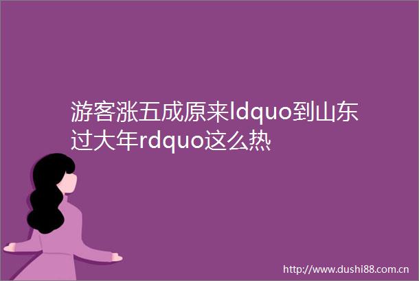 游客涨五成原来ldquo到山东过大年rdquo这么热