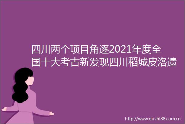 四川两个项目角逐2021年度全国十大考古新发现四川稻城皮洛遗址终评会上打头阵