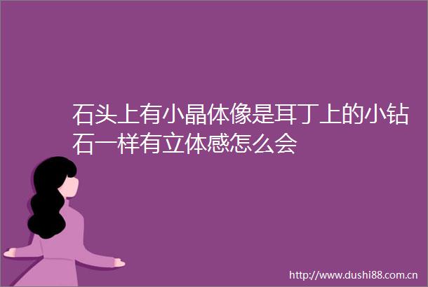石头上有小晶体像是耳丁上的小钻石一样有立体感怎么会