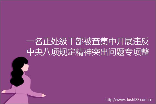一名正处级被查集中开展违反中央八项规定精神突出问题专项整治
