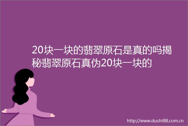 20块一块的翡翠原石是真的吗揭秘翡翠原石真伪20块一块的