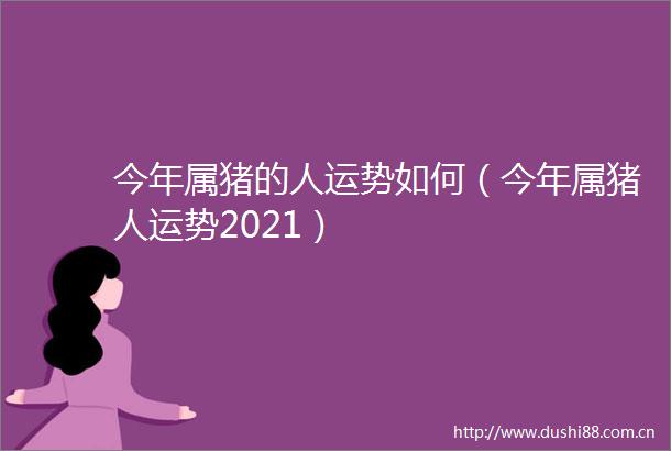 今年属猪的人运势如何（今年属猪人运势2021）