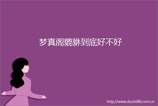 梦真阁貔貅到底好不好
