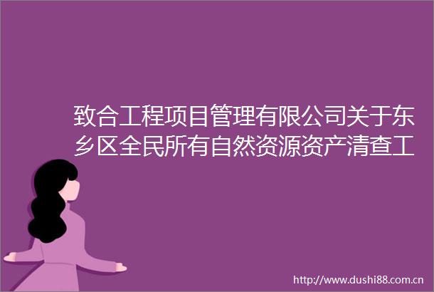 致合工程项目管理有限公司关于东乡区全民所有自然资源资产清查工作采购项目（采购编号ZHGL2025DX002）的竞争性磋商采购公告