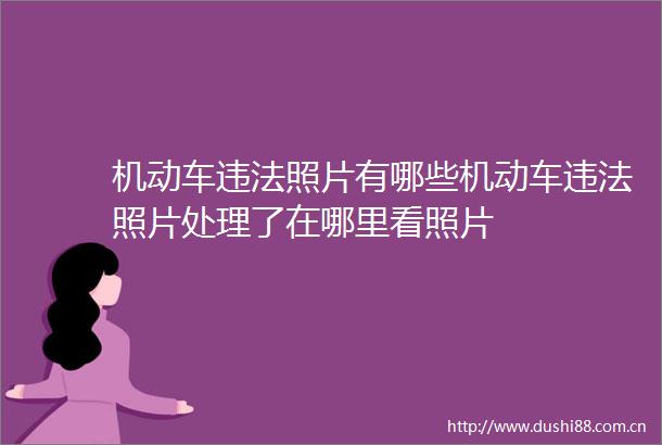 机动车照片有哪些机动车照片处理了在哪里看照片