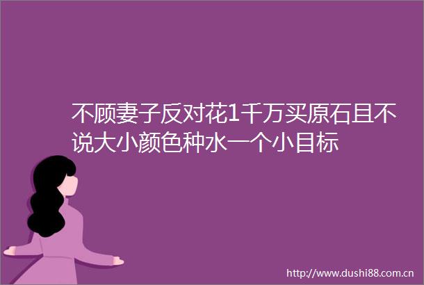 不顾妻子反对花1千万买原石且不说大小颜色种水一个小目标