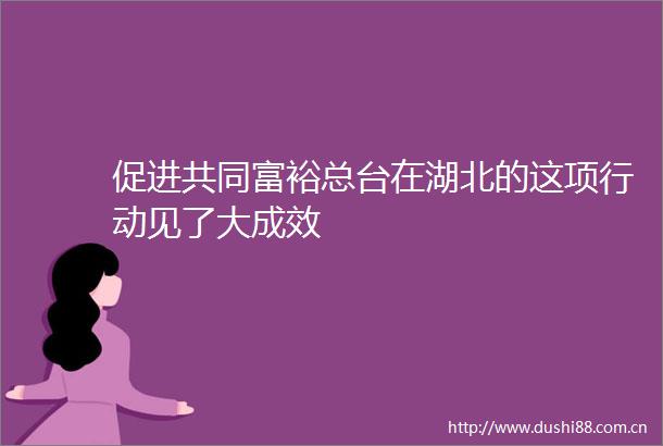 促进共同富裕总台在湖北的这项行动见了大成效