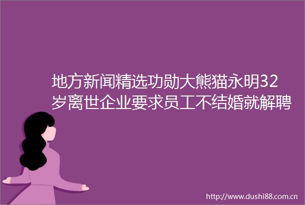 地方新闻精选功勋大熊猫永明32岁离世企业要求员工不结婚就解聘被叫停