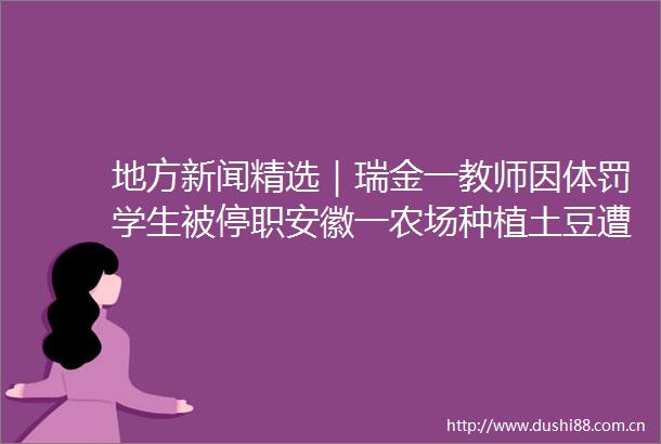 地方新闻精选｜瑞金一教师因体罚学生被停职安徽一农场种植土豆遭哄抢