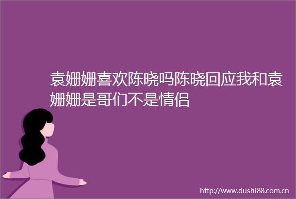 袁姗姗喜欢陈晓吗陈晓回应我和袁姗姗是哥们不是情侣