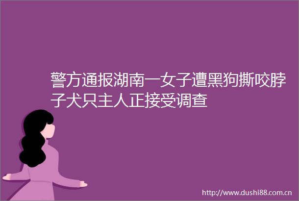 警方通报湖南一女子遭黑狗撕咬脖子犬只主人正接受调查