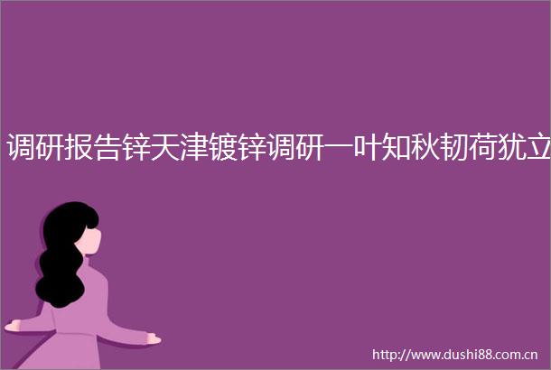 调研报告锌天津镀锌调研一叶知秋韧荷犹立