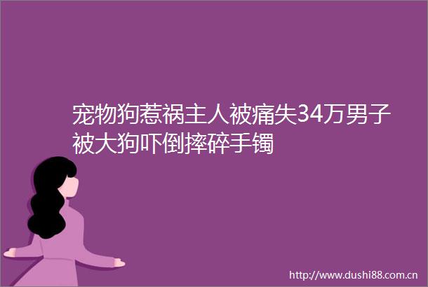 宠物狗惹祸主人被痛失34万男子被大狗吓倒摔碎手镯