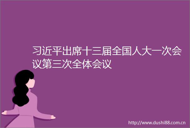 出席十三届全国人大一次会议第三次全体会议