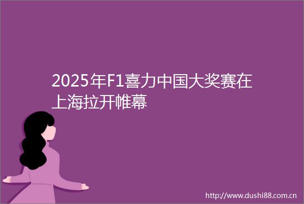 2025年F1喜力大奖赛在上海拉开帷幕