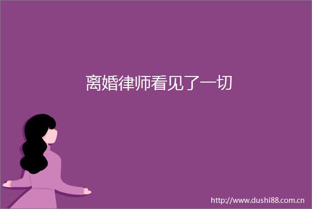 离婚律师看见了一切
