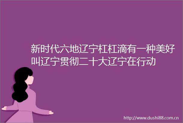 新时代六地辽宁杠杠滴有一种美好叫辽宁贯彻二十大辽宁在行动