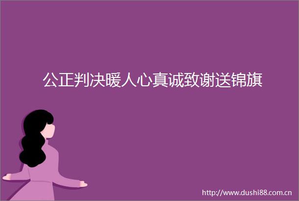 公正暖人心真诚致谢送锦旗