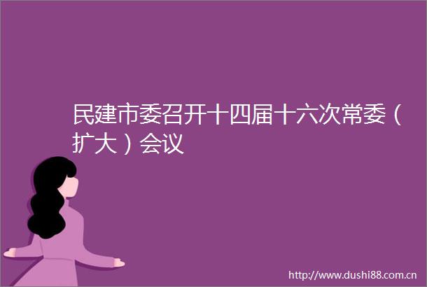 民建市委召开十四届十六次常委（扩大）会议