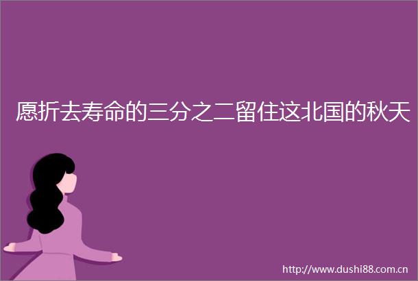 愿折去寿命的三分之二留住这北国的秋天