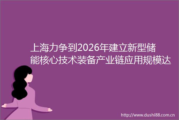 上海力争到2026年建立新型储能核心技术装备产业链应用规模达到80万千瓦以上