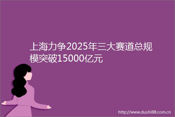 上海力争2025年三大赛道总规模突破15000亿元