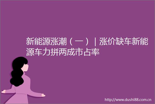 新能源涨潮（一）｜涨价缺车新能源车力拼两成市占率