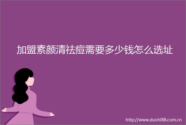加盟素颜清祛痘需要多少钱怎么选址