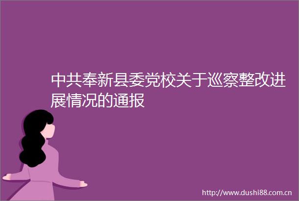 奉新县委党校关于巡察整改进展情况的通报