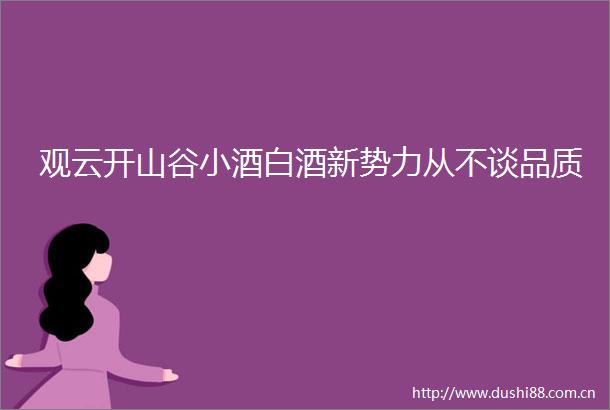 观云开山谷小酒白酒新势力从不谈品质