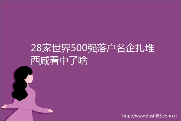 28家世界500强落户名企扎堆西咸看中了啥