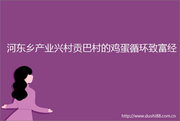 河东乡产业兴村贡巴村的鸡蛋循环致富经