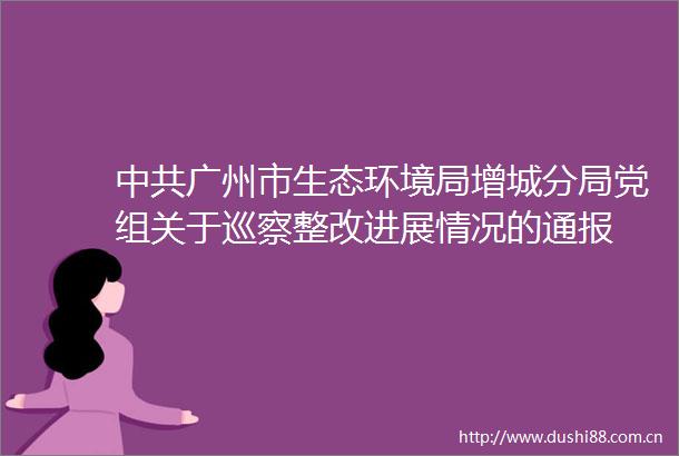 广州市生态环境局增城分局党组关于巡察整改进展情况的通报