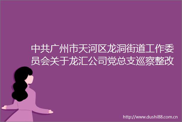 广州市天河区龙洞街道工作委员会关于龙汇公司党总支巡察整改进展情况的通报