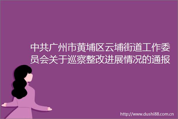 广州市黄埔区云埔街道工作委员会关于巡察整改进展情况的通报（社会公开）