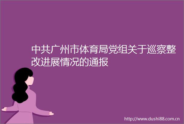广州市体育局党组关于巡察整改进展情况的通报