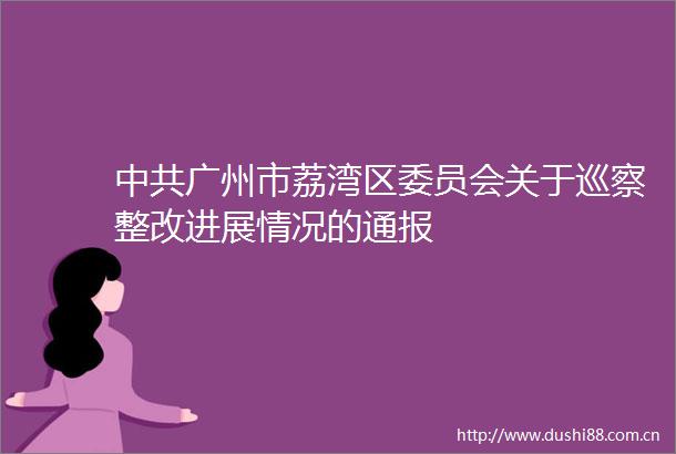 广州市荔湾区委员会关于巡察整改进展情况的通报