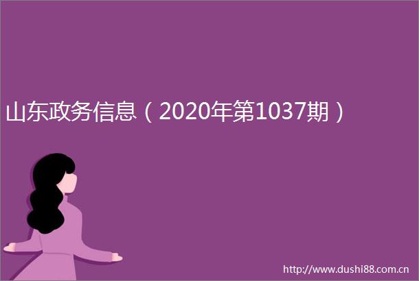 山东政务信息（2020年第1037期）