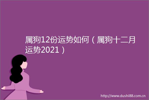 属狗12份运势如何（属狗十二月运势2021）