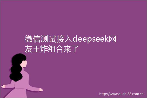 微信测试接入deepseek网友王炸组合来了
