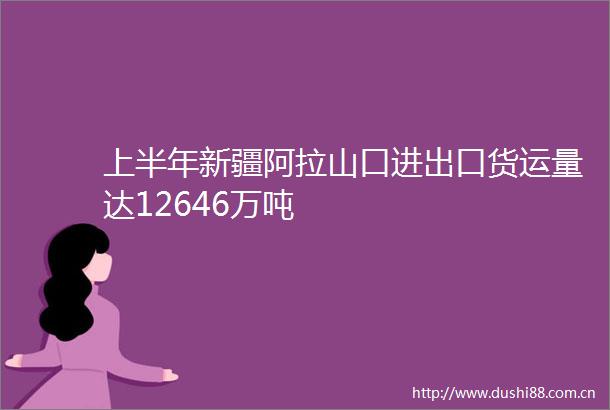 上半年新疆阿拉山口进出口货运量达12646万吨