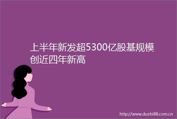 上半年新发超5300亿股基规模创近四年新高