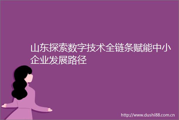 山东探索数字技术全链条赋能中小企业发展路径