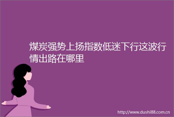 煤炭强势上扬指数低迷下行这波行情出路在哪里