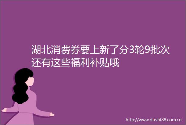 湖北消费券要上新了分3轮9批次还有这些福利补贴哦